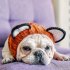 Pet Dog Warm Windproof Knitted Hat Animal Series Dress Up Pet Headgear Head Accessories Photo Props brown bear M