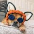 Pet Dog Warm Windproof Knitted Hat Animal Series Dress Up Pet Headgear Head Accessories Photo Props brown bear M