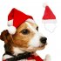 Pet Dog Winter Warm Christmas Elk Scarf Hat Xmas Christmas Clothes Pet Cosplay Costume Red M