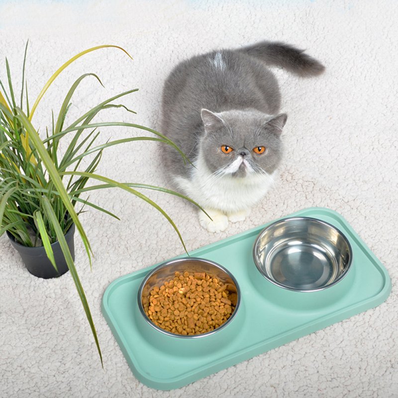 Pet Double  Bowl Cat  Dog Dining  Table Non-slip Stainless  Steel Feeder Blue_Stainless steel double bowl