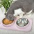 Pet Double  Bowl Cat  Dog Dining  Table Non slip Stainless  Steel Feeder Blue Stainless steel double bowl