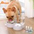 Pet Dual bowls Automatic Food Feeder Water Fountain No Wet Mouth for Dog Cat Dispenser gray L