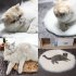 Pet Electric Heating Pad Waterproof Anti scratch Constant Temperature Electric Blanket Camel Color