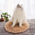 Pet Electric Heating Pad Waterproof Anti scratch Constant Temperature Electric Blanket Camel Color