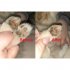 Pet Electric Trimmer Usb Rechargeable Low Noise Cat Dog Grooming Clippers For Trimming Hair Around Paws Set  no oil bottle 