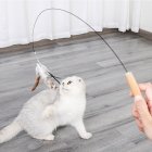 Pet Feather Teaser Rod Bite Resistant Cat Interactive Feather Toy Red Purple