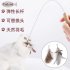 Pet Feather Teaser Rod Bite Resistant Cat Interactive Feather Toy Black Brown