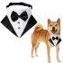 Pet Formal Necktie British Style Bow Tie Pet Accessories For Small Medium Dog Cat Blue and Black M