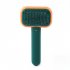 Pet Grooming Brush Cat Dog Massage Comb One Key Hair Removal Comb Shedding Brush green