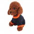 Pet Halloween Pumpkin Clothing Small Dog Clothing Knit Sweater  black M