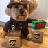 Pet Halloween Ups Costumes Funny Dress Up Outfits Set with Hat for Medium Large Dogs Brown S