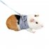 Pet Hamster Traction Strap Outdoor Training Soft Cotton Clothes Rope for Hamster Guinea Pig Blue L