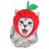 Pet Hat Teddy Dog Dress Cartoon Cat Cosplay Headgear for Christmas Apple hat One size