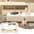 Pet Household Flea Trap Light Square Telescopic Sticky Flea Trap For Living Room Bedroom Kitchen Toilet EU plug 220V