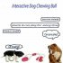 Pet Interactive Toy Dog Sucker Molar Bite Rubber TPR Chewing Ball 40 10cm blue 400 100mm