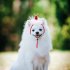 Pet Lace Christmas Hat Headdress Adjustable Drawstring Design Elk White Ball Cap