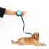 Pet Leashes Hands free Automatic Shrink Nylon Leash Pets Pull Dog Chains Traction Ropes Black L