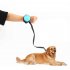 Pet Leashes Hands free Automatic Shrink Nylon Leash Pets Pull Dog Chains Traction Ropes blue L