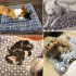 Pet Mat Thickening Warm Autumn Winter Cat Dog Blanket Anti slip Cushion Grey bear head 1  32 25cm