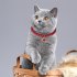 Pet Pearl Necklace With Heart shaped Diamond Pendant Cat Jewelry With Safety Buckle For Small Medium Dogs red One size fits all