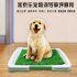 Pet Pee Pad Mat Simulation Lawn Toilet for Indoor Potty Training 46 32cm