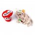 Pet Plush Sniffing Toy Removable Ramen Bubble Bucket Cat Dog Tooth Cleaning Molar Toys Pet Products As shown