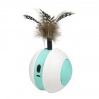 Pet Rolling  Ball Automatic Funny Cat Toy Led Infrared Electric Rotating Sports  Ball Usb Charging White green white_See details