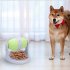 Pet Slow Feeder Toys for Dog Cat Interactive Training Diet Food Dispenser blue