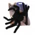 Pet Spider Shape Chest Strap Leash for Cat Halloween Christmas Wear black One size