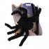 Pet Spider Shape Chest Strap Leash for Cat Halloween Christmas Wear red One size