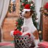 Pet Striped Christmas Hat Multicolor Cat Dog Dress Up Headwear Pet Supplies for Xmas Party Decor red and black plaid