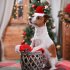 Pet Striped Christmas Hat Multicolor Cat Dog Dress Up Headwear Pet Supplies for Xmas Party Decor red and green Polka dot