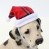 Pet Striped Christmas Hat Multicolor Cat Dog Dress Up Headwear Pet Supplies for Xmas Party Decor red