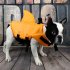 Pet Swimming Suit Swimwear Lightweight Quick drying Shark Fin Dog Life Jacket Life Vest Clothes orange S