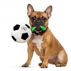 Pet Toy Interactive Dog Football Shape Biting Training Exercise Toy as picture show