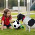 Pet Toy Interactive Dog Football Shape Biting Training Exercise Toy as picture show