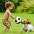 Pet Toy Interactive Dog Football Shape Biting Training Exercise Toy as picture show