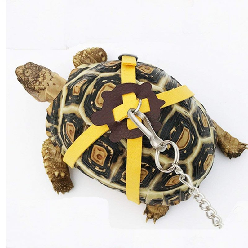 Pet Turtle Traction Belt Control Rope