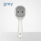 Pet Ultraviolet Sterilizing Comb Usb Rechargeable Automatic Hair Removal Brush