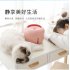 Pet Water Dispenser Circulating Water Source Spring Type Non wet Mouth Water Basin Cat and Dog Bowl white