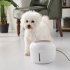 Pet Water Dispenser Circulating Water Source Spring Type Non wet Mouth Water Basin Cat and Dog Bowl white