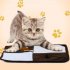 Pet Wear Resistant Catnip Scratching Pad with Sound Paper Cat Toy Square