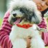 Pets Anti Lost Collar Locator Set Compatible for iOS System Breathable Battery Powered Find Device Black