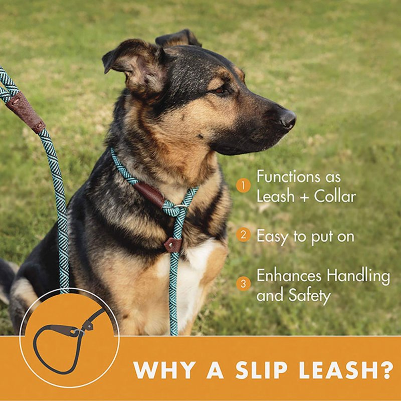 Dog Training Leash Pull-resistant Traction Rope with Adjustable Ring for Large Medium Small Dogs 