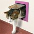 Pink Pet Flap Dog Cat Door Pet Care Supplies Pet Toy