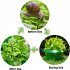 Plant Freeze Protection Cover Plant Covers With Ventilation Top Transparent Vegetable Protective Cover Plant Bell Cover Snail Protection Collar 6