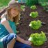 Plant Freeze Protection Cover Plant Covers With Ventilation Top Transparent Vegetable Protective Cover Plant Bell Cover Snail Protection Collar 6