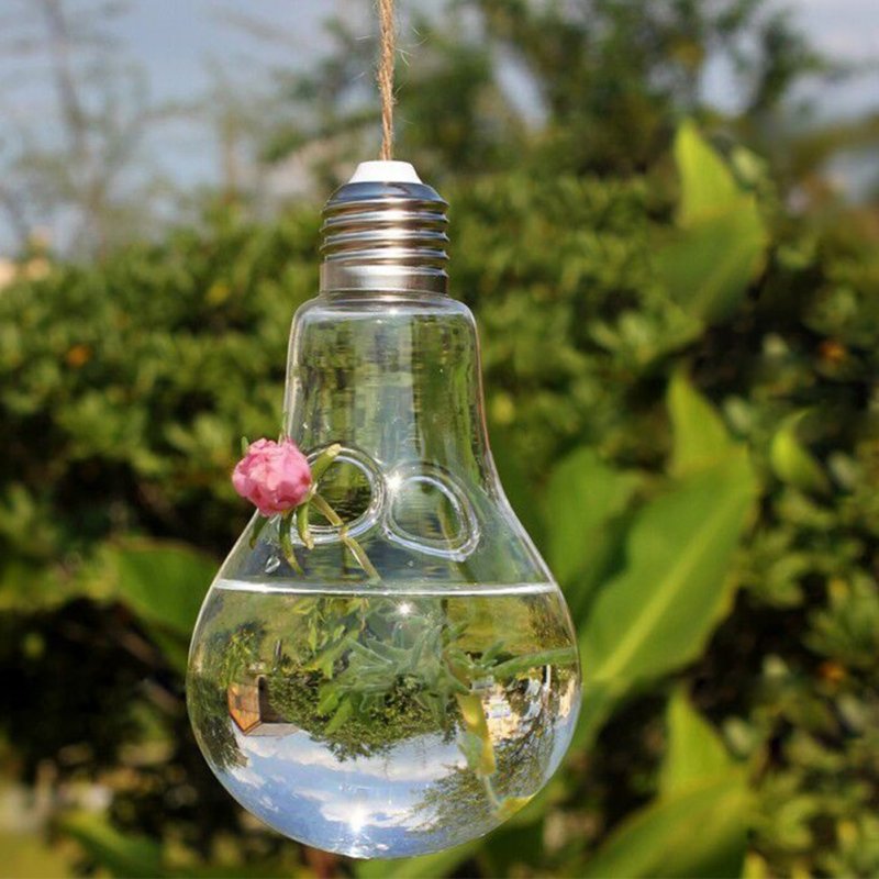 Plant Glass Bulb Shape Hydroponic Container