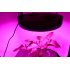 Plant Grow Light with 180 Watt power  14 2 Inch diameter and a built in cooling fan   Grow your plants indoor and achieve a higher yield and bigger crops