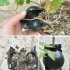 Plant Rooting Device High Pressure Propagation Ball High Pressure Box Growing black L